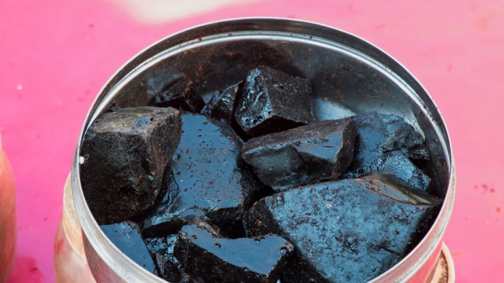 pure shilajit resin